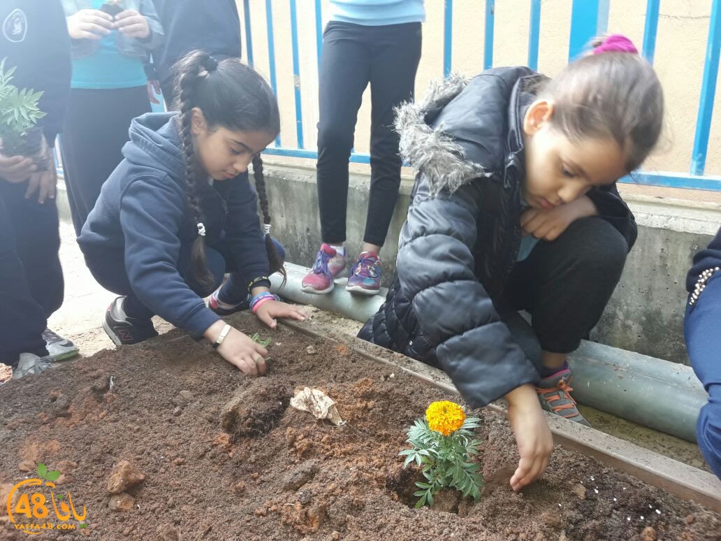 jsahrqwrjqlaskd (23).jpg